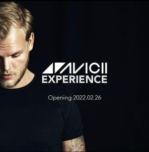 Avicii Experience