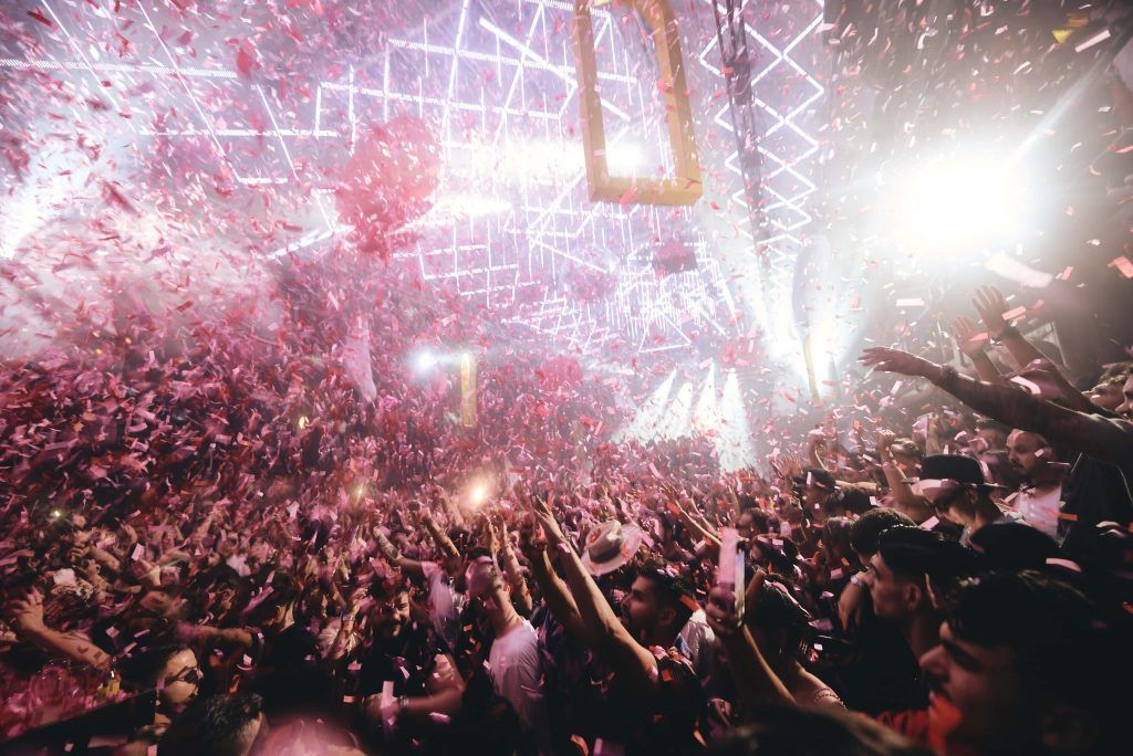 NIGHT OF THE JAGUAR EN AMNESIA