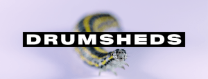 DRUMSHEDS
